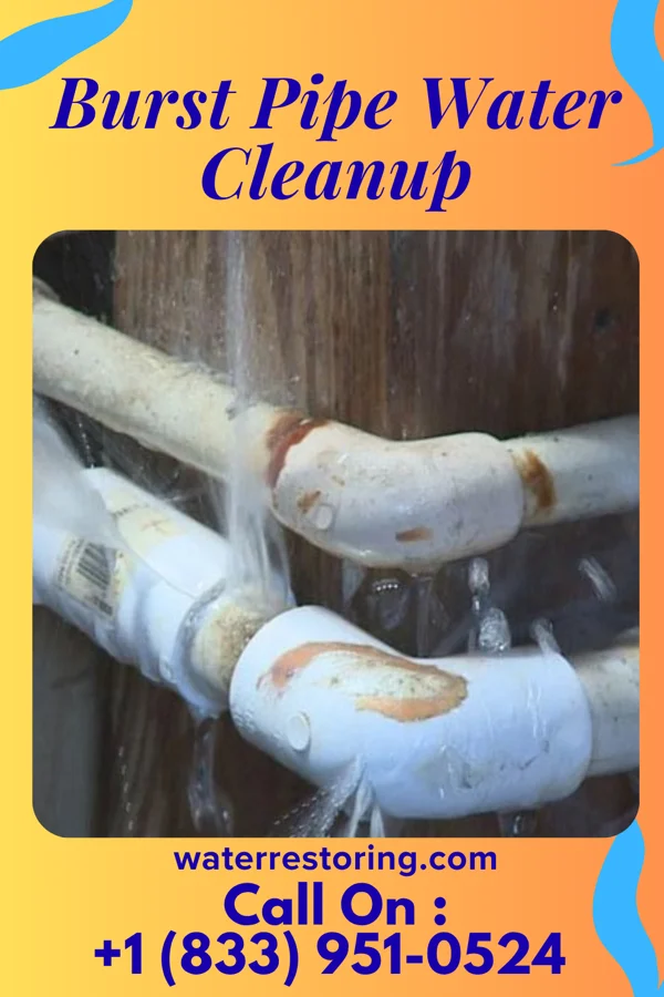 Burst Pipe Water Cleanup in Northampton, PA