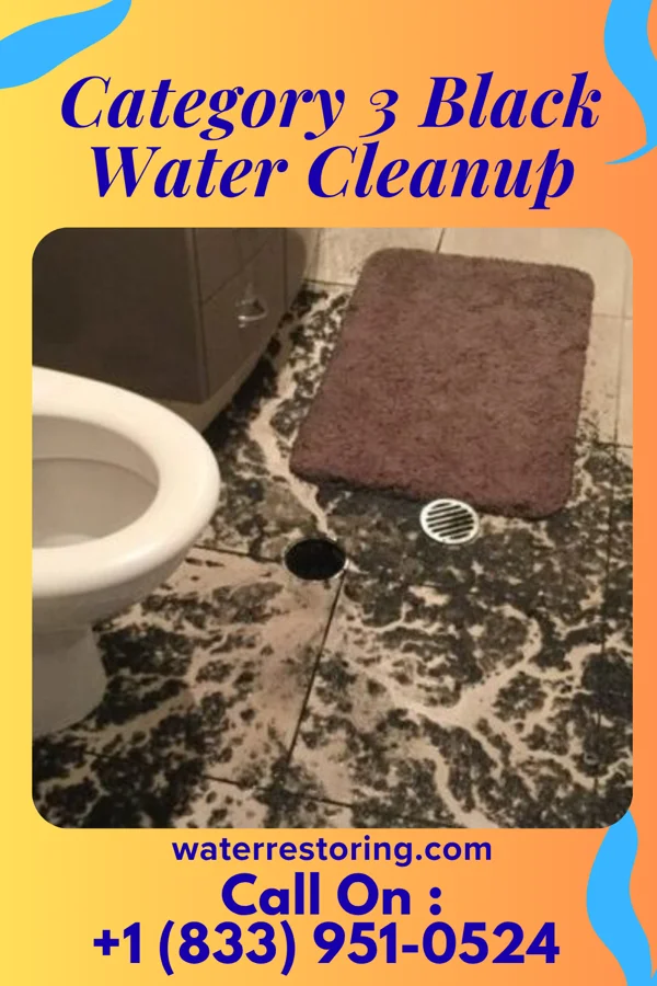 Category 3 Black Water Cleanup in Northampton, PA