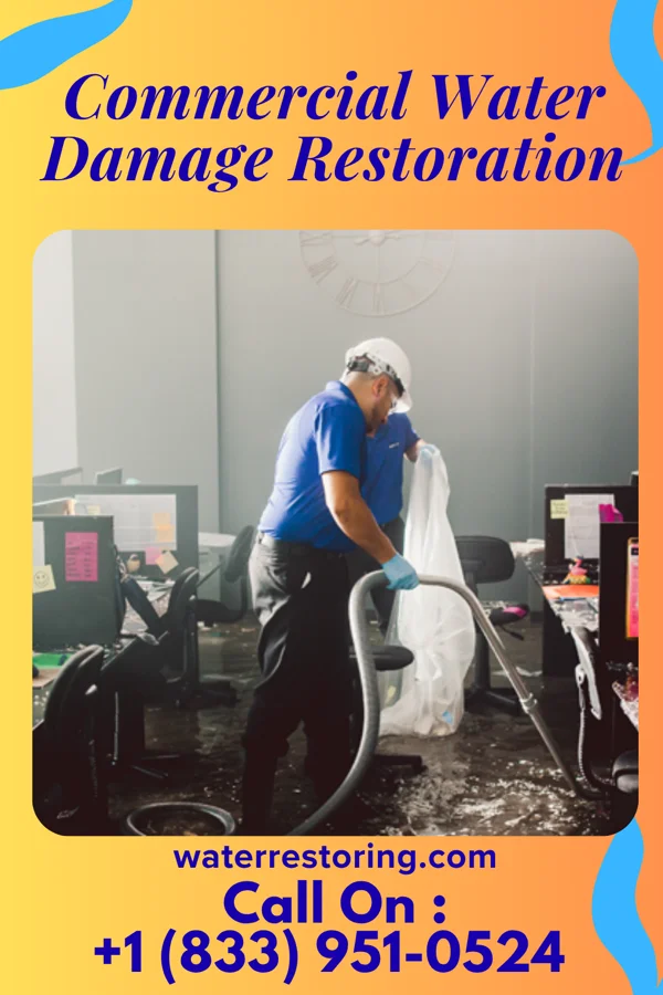 Commercial Water Damage Restoration in Northampton, PA