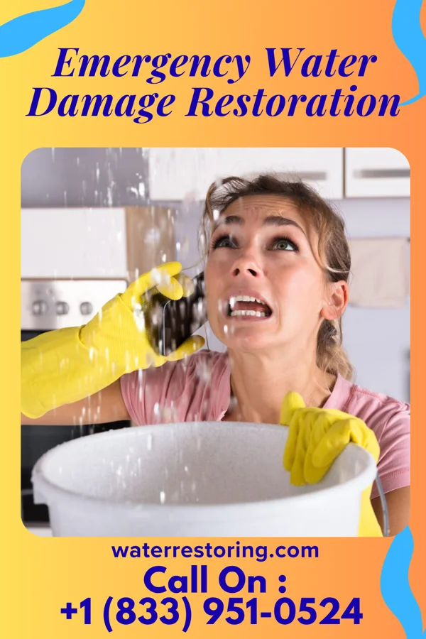 Emergency Water Damage Restoration in Northampton, PA