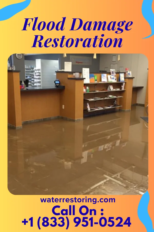 Flood Damage Restoration in Northampton, PA