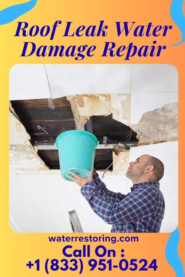 Roof Leak Water Damage Repair in Northampton, PA