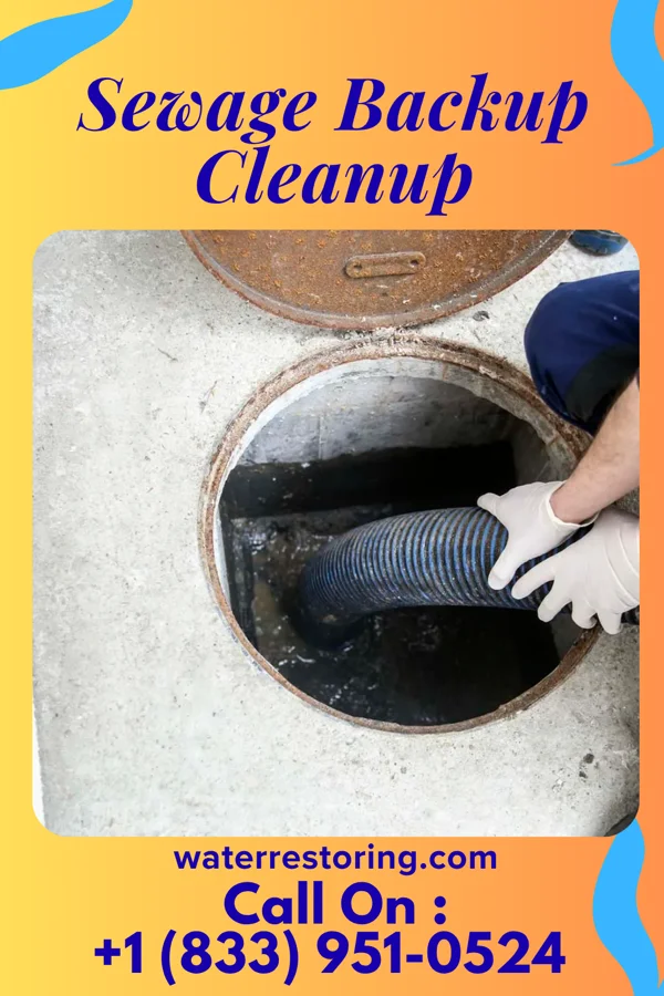 Sewage Backup Cleanup in Northampton, PA