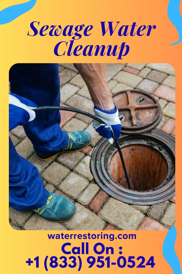 Sewage Water Cleanup in Northampton, PA