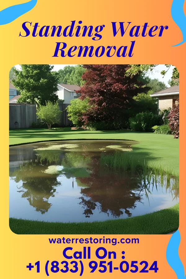 Standing Water Removal in Northampton, PA